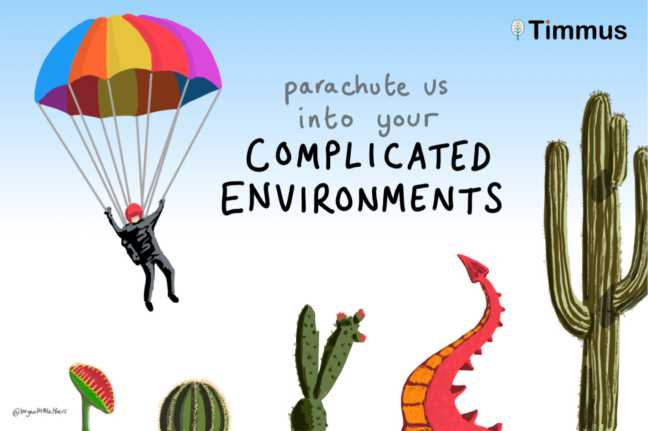 Timmus - Complicated Environments